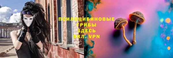 спайс Абинск