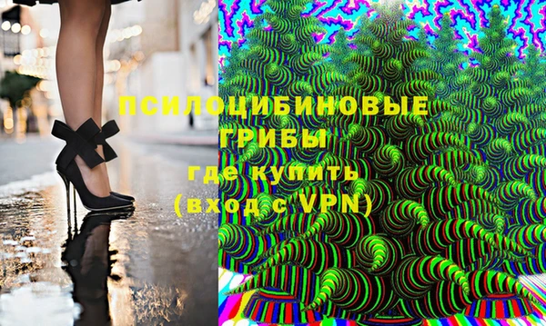 a pvp Абаза