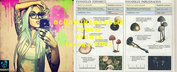 спайс Абинск
