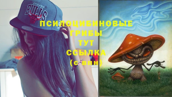 индика Абдулино