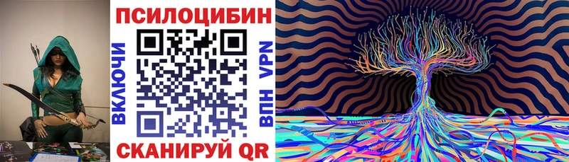 дарк нет наркотические препараты  продажа наркотиков  blacksprut маркетплейс  Пудож  Галлюциногенные грибы Psilocybe 